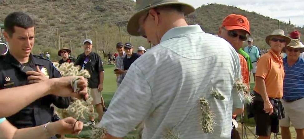 What Is A Jumping Cholla Cactus This Golf Fan Now Knows Swingu Clubhouse