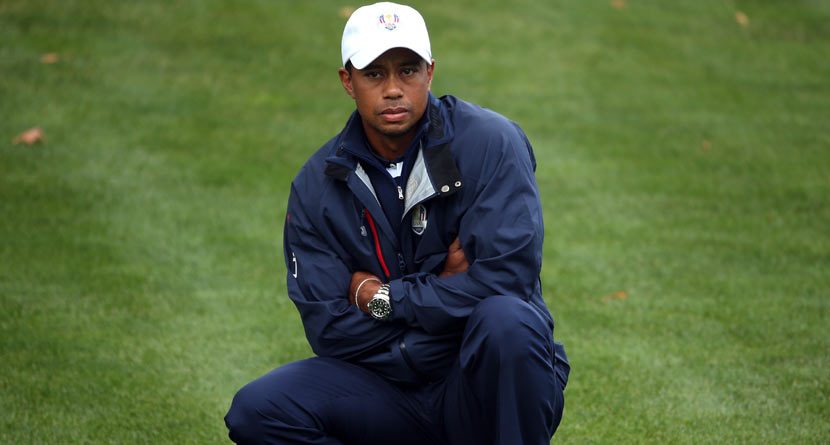 Tiger Woods To Miss Ryder Cup To Rest Ailing Back