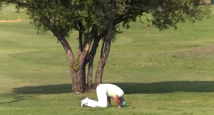 Video: Professional Golfer Makes Most Painful Triple Bogey Ever