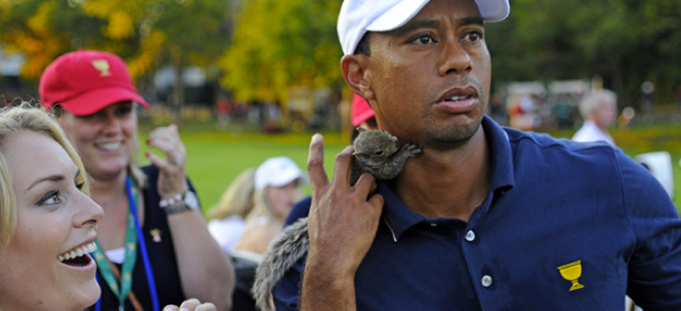 Throwback Thursday: Watch Lindsey Vonn Put A Squirrel On Tiger Woods