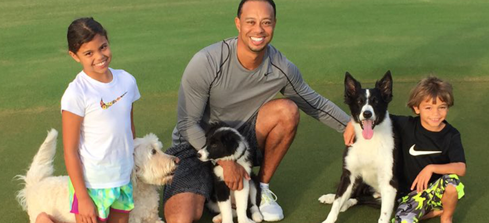 Tiger Woods Shares Pictures Of Family’s New Dog, Bugs