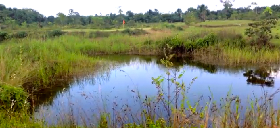 ‘Augusta Of The Amazon’ A Different Kind Of Risk/Reward Golf Course