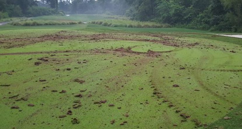 Tour Course Vandalized By Worst People Ever