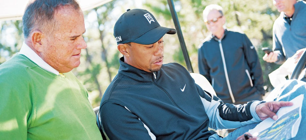 Tiger May Take His Design Talents To Chicago