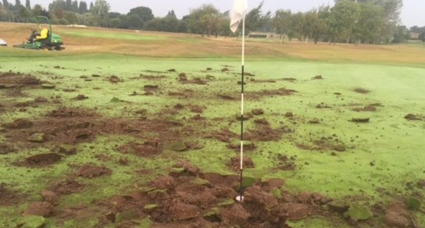 Vandals Show No Mercy For Golf Course