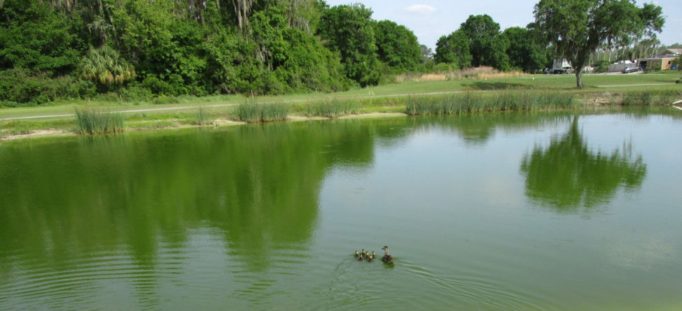 California Golf Course Blamed For Foul Smell