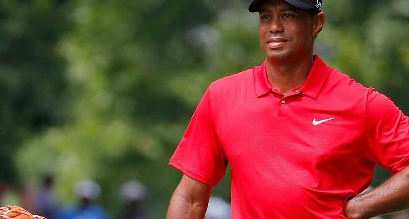 Tour Pro: Tiger’s Comeback ‘Might Be Spectacular’