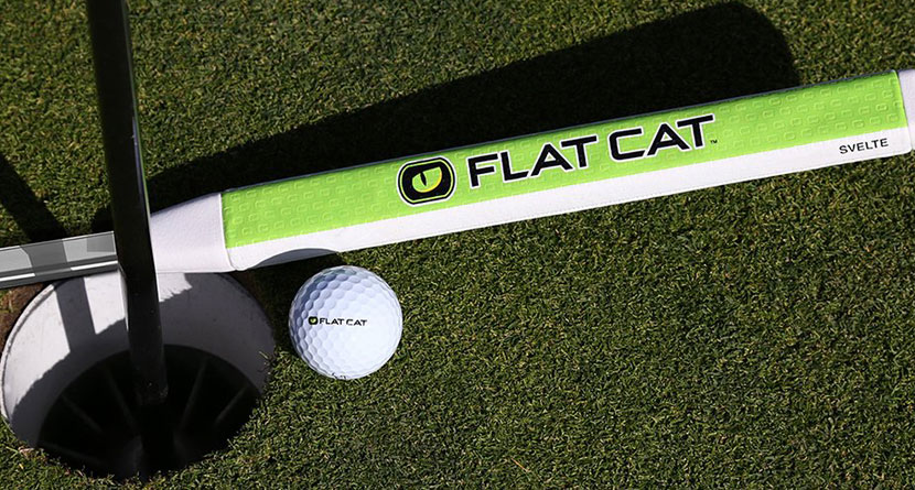 Late Night Online Purchase: Flat Cat Putter Grip