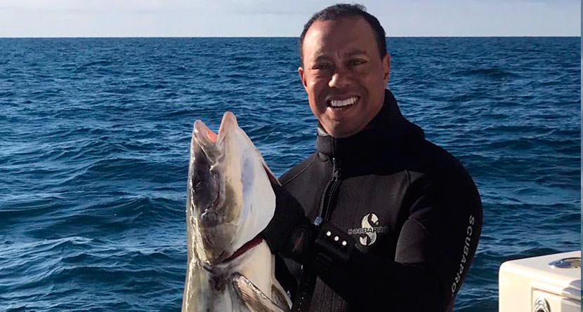 Tiger Celebrates 42nd Birthday By Spearfishing