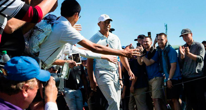 Rory: Tiger’s Crowds Cost Him Two Shots Per Event