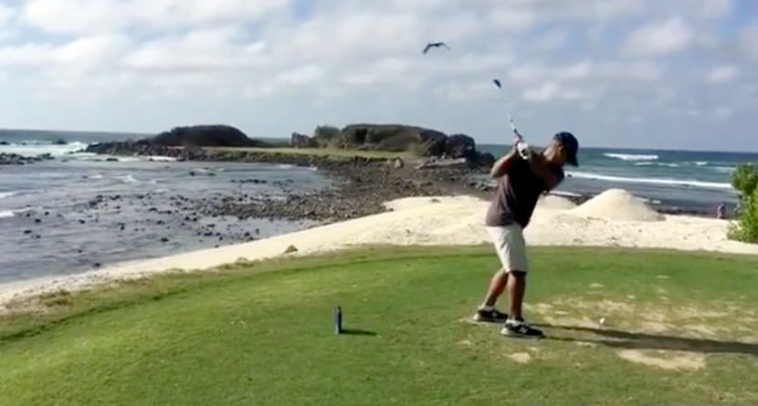 Golfer Gets Wrong Kind Of Birdie