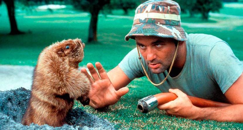 Caddyshack Getting Its Own Festival