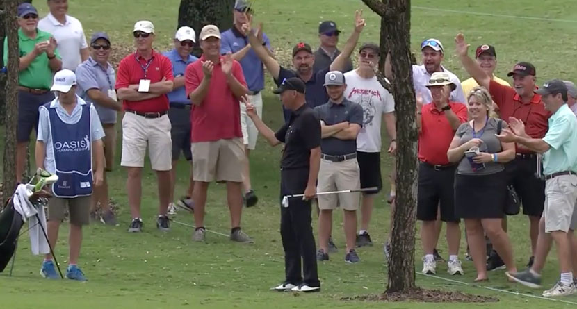 Rocco Holes Out From Behind A Tree For Eagle