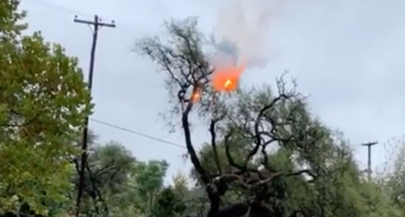 Tree Causes Explosion At PGA Tour Latinoamerica Event