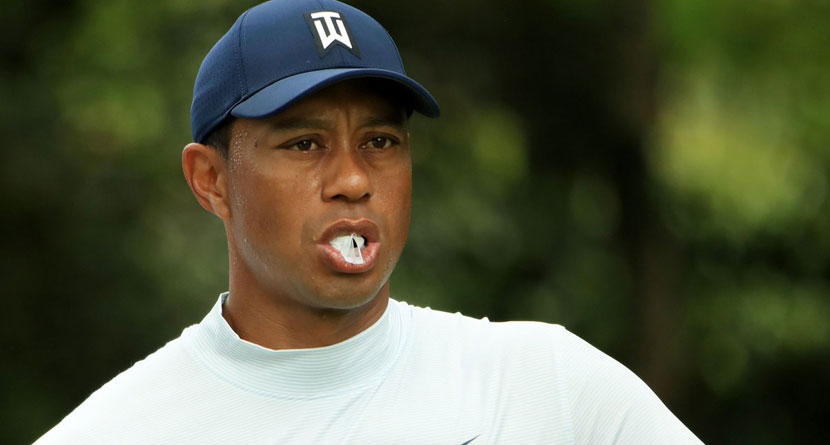 Tiger Reveals What Kind Of Gum He Chews During Competition