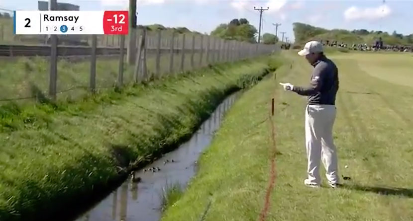 Family Of Ducks Disrupts Pro’s Pre-Shot Routine