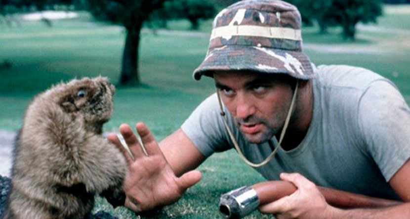 Golfer Injured In Real-Life Caddyshack Incident