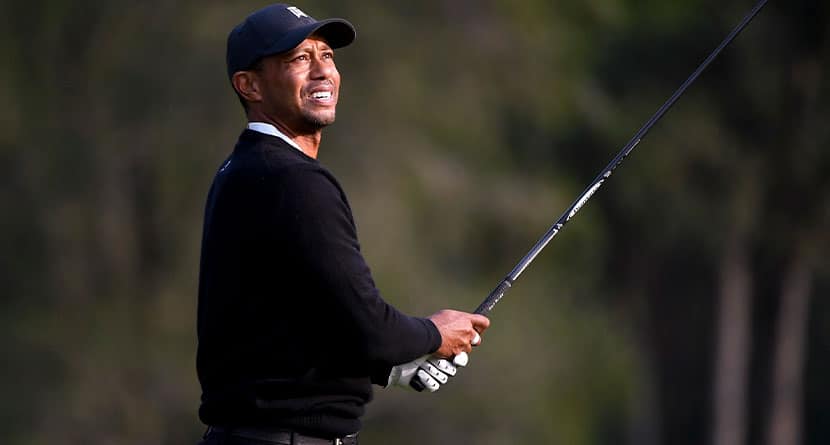 Tiger Speaks Out On Distance: Genie’s Out Of The Bag