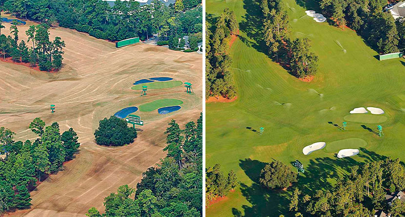 How Augusta National Got So Green So Quickly