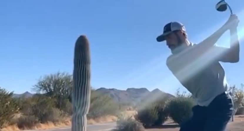 Authorities Looking For Golfer Who Purposely Hit Protected Cactus