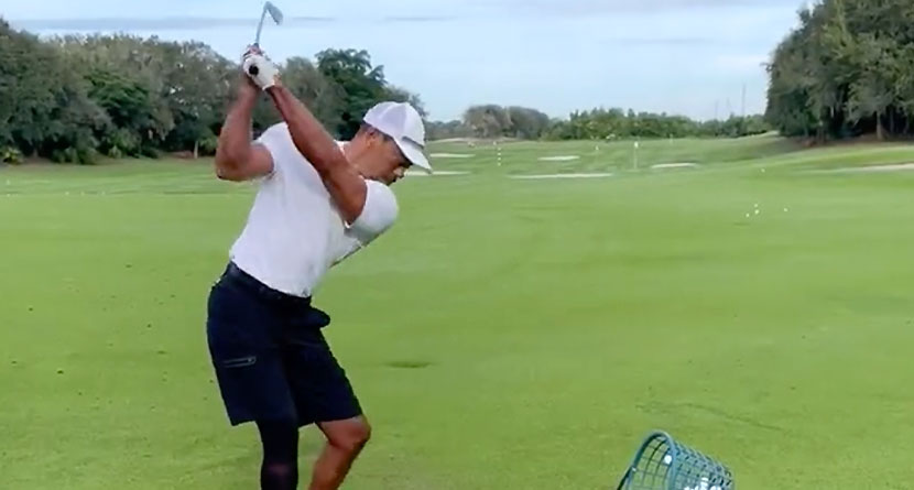 Tiger Posts First Swing Video Since February Car Crash