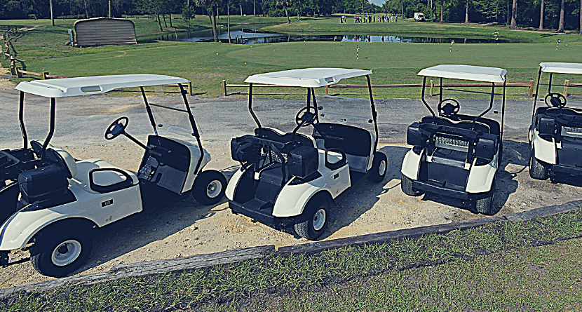 Golf Cart Thief Faces Two Years In Prison