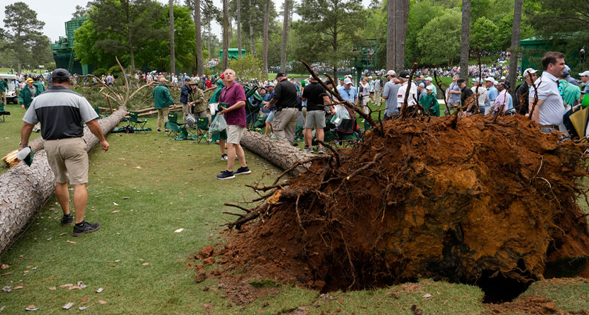 augusta national trees 2023 masters